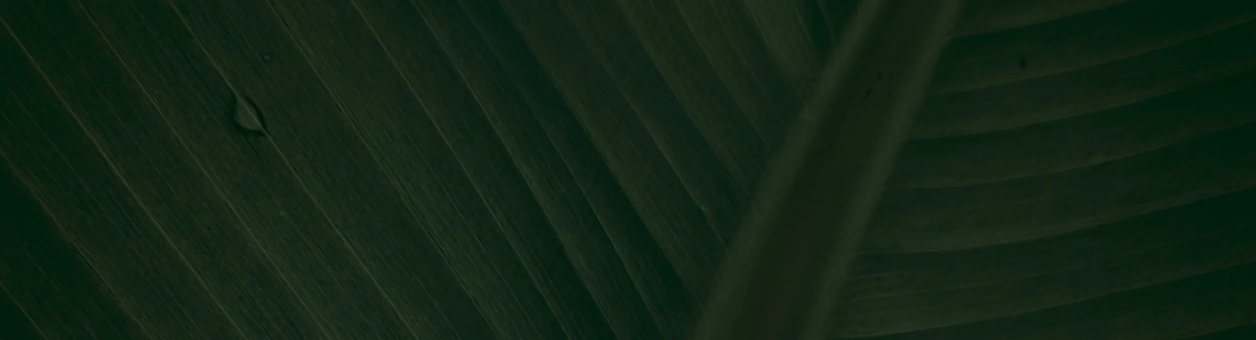 0.5mm HB Mechanical Pencil Refills in Assorted Colors